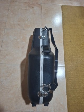 Estuche Saxofón Alto Gator GC-ALTO Rígido