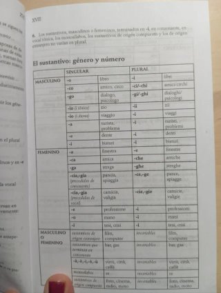 Diccionario Esencial Español-Italiano / Italian...