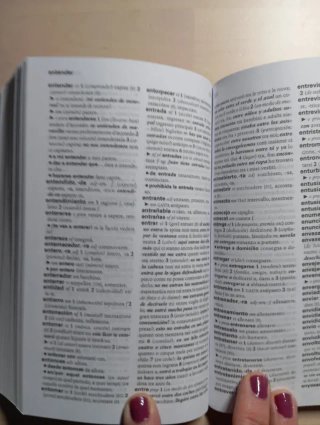 Diccionario Esencial Español-Italiano / Italian...