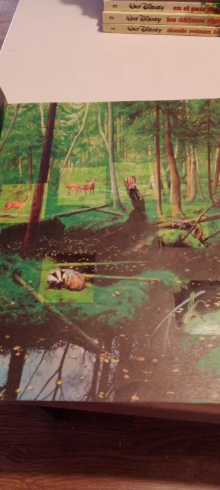 Aventuras De Los Jóvenes Castores completa 24 Libr