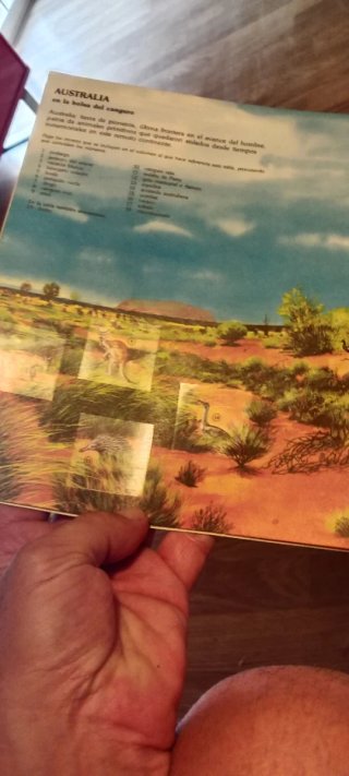 Aventuras De Los Jóvenes Castores completa 24 Libr