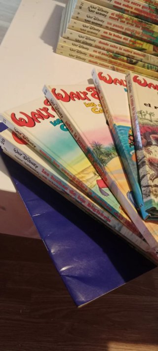 Aventuras De Los Jóvenes Castores completa 24 Libr