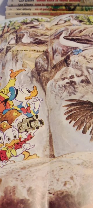 Aventuras De Los Jóvenes Castores completa 24 Libr