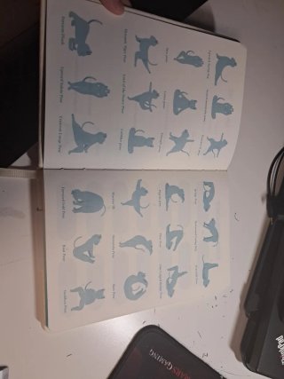 Yoga journal