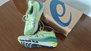 Asics Gel Kayano 31