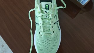 Asics Gel Kayano 31