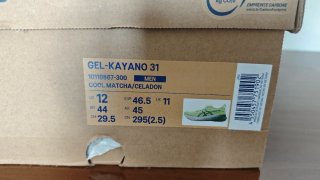 Asics Gel Kayano 31