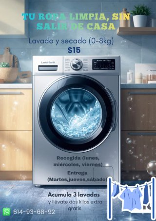 Servicio de lavado y secado a domicilio