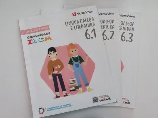 Lingua Galega e Literatura 6, Educación Primari...