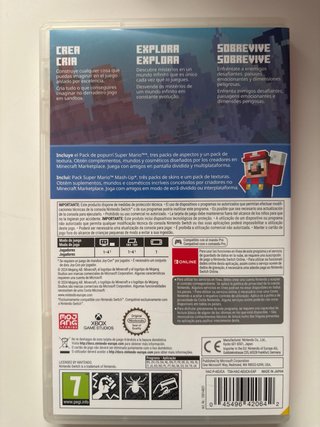 Minecraft Nintendo Switch