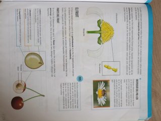 Biologia i Geologia I, ESO, Secundària, D'una a...