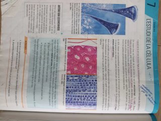 Biologia i Geologia I, ESO, Secundària, D'una a...
