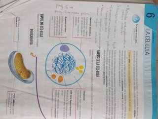 Biologia i Geologia I, ESO, Secundària, D'una a...