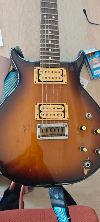 WASHBURN JAPAN VINTAGE (1981-1983)