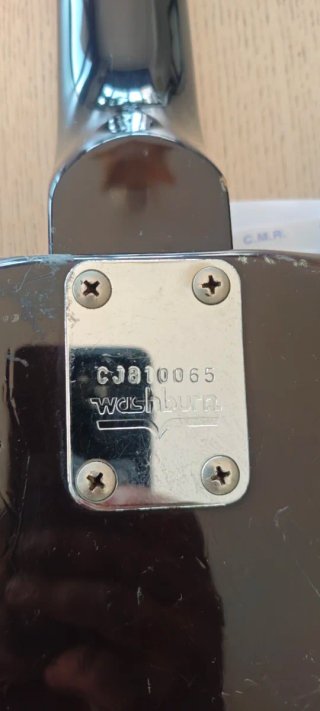 WASHBURN JAPAN VINTAGE (1981-1983)
