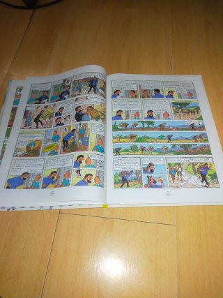 Cómic Tintin en el Tibet