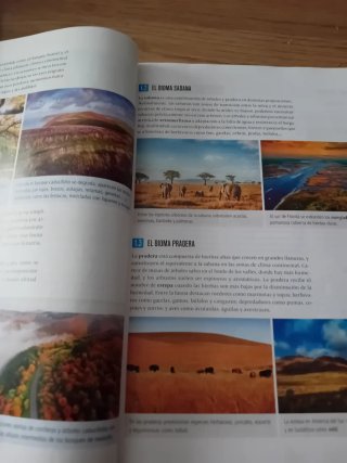 Proyecto: FanFest - Geografía e Historia 1 ESO