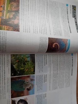Proyecto: FanFest - Geografía e Historia 1 ESO