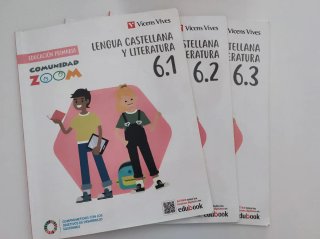 Lengua Castellana y Literatura 6, Educación Pri...
