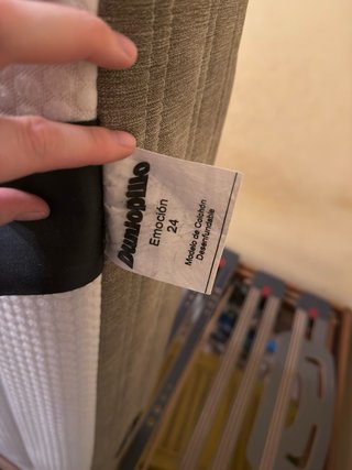 Cama articulada eléctrica 90x200 + colchón
