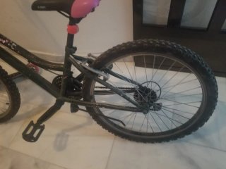Bicicleta de montaña