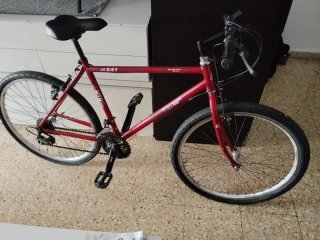 Bicicleta de montaña roja X41