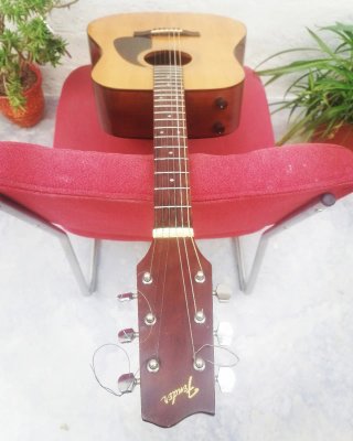 Guitarra FENDER GEMINI Electroacústica