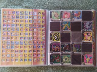 Álbum 167 Staks Pokémon Panini 2006