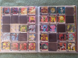 Álbum 167 Staks Pokémon Panini 2006