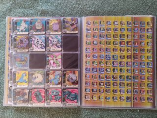 Álbum 167 Staks Pokémon Panini 2006