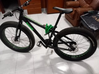 Bicicleta