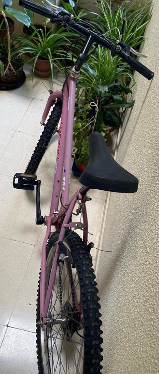 Bicicleta America Vintage Rosa