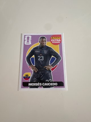 Cromo Extra Panini Moisés Caicedo Nº23