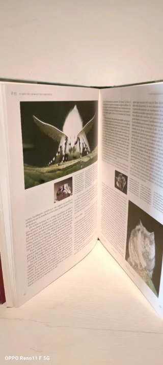 Libros enciclopedia