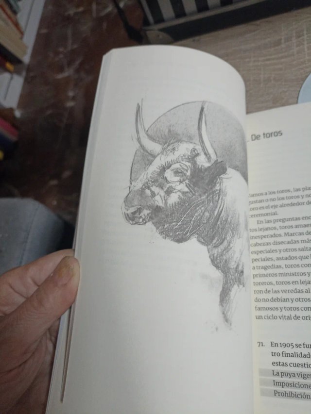 Qué Sabrás Tú... De Toros! 365 Preguntas Que T...