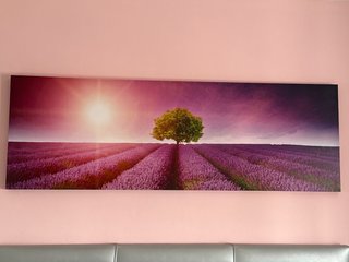Cuadro paisaje campo lavanda árbol