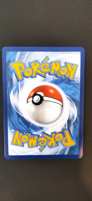 Carta Pokémon Charizard EX 199/165