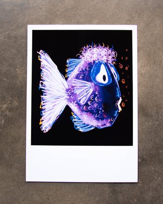 Ilustración Pez Morado Edición Limitada