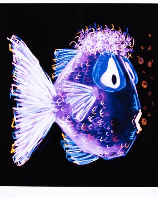 Ilustración Pez Morado Edición Limitada