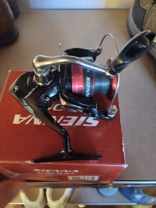 Carrete Shimano Sienna C3000