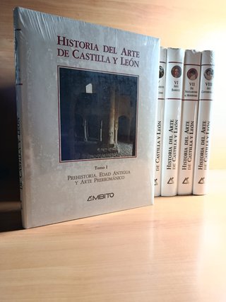 HISTORIA DEL ARTE DE CASTILLA Y LEÓN – C. COMPLETA