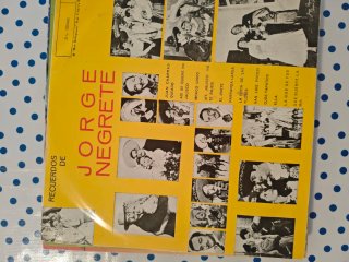 Vinilos varios estilos y cantantes.