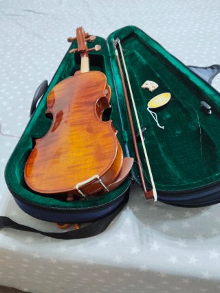Violín antiguo con funda y arco