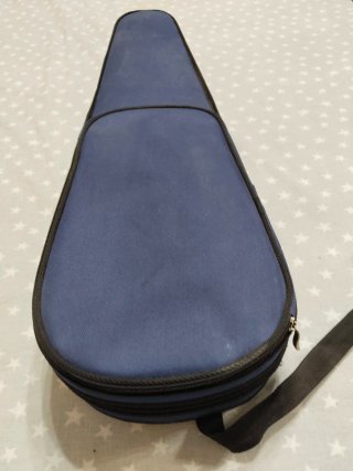 Violín antiguo con funda y arco