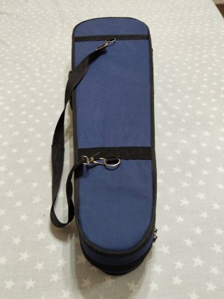 Violín antiguo con funda y arco