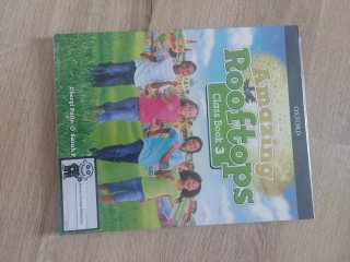 Lote libros 3 primaria
