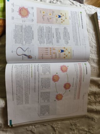 Biología, Geología y Ciencias Ambientales. 1 Ba...