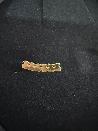 Pendientes TOUS Straight Baño Oro 18kt