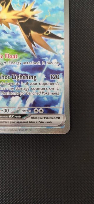 Carta Pokémon Zapdos EX 202