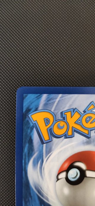 Carta Pokémon Zapdos EX 202